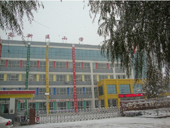 保定市高新区小学. 图片来自互联网