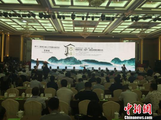 图为首届中国(桐庐)国际民宿发展论坛现场。　李晨韵 摄