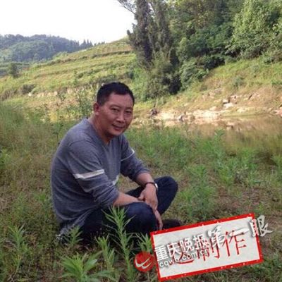 李市镇GDP_安徽省 合肥李艾迪