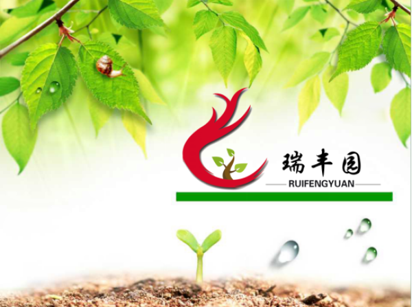 瑞丰园有机果蔬 为健康生活护航
