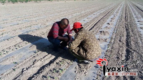 杨龙向农民学习种植技术