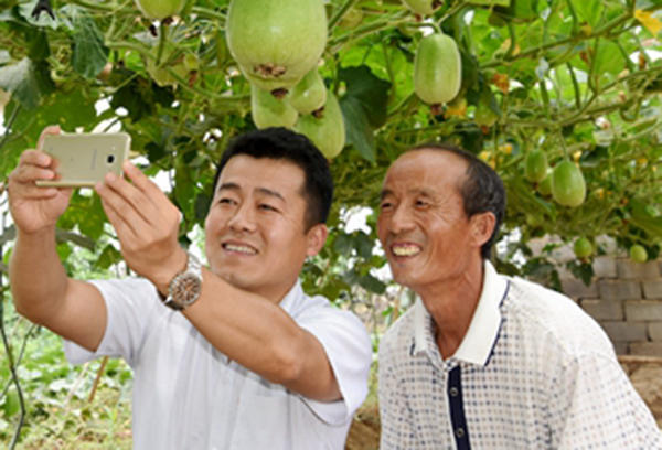 业务经理弃高薪回临沂创业 苹果苦瓜 每斤卖8