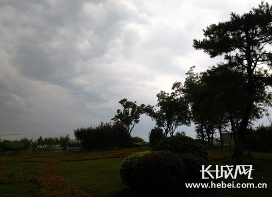 6月30日，石家庄出现降雨天气。长城网 赵晓慧 摄