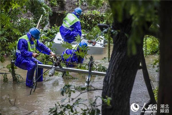 7月1日，天门供电公司冒雨清除倒塌的电杆。