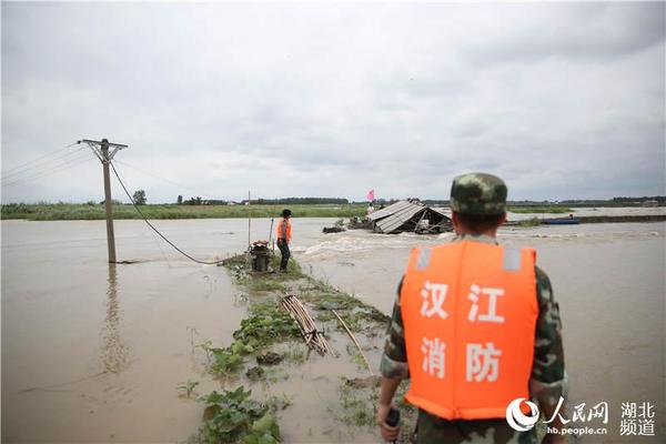 仙桃市有多少人口_疫情背后的口罩江湖