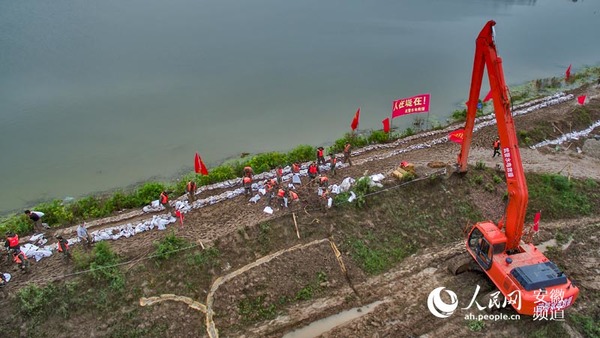 吴成铭)连日来,望江普降暴雨,境内湖泊全线告急,漳湖镇五九圩局部