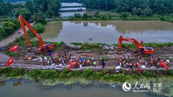 这几天,一场圩堤保卫战在安徽省望江县漳湖镇五九圩堤坝上打响.