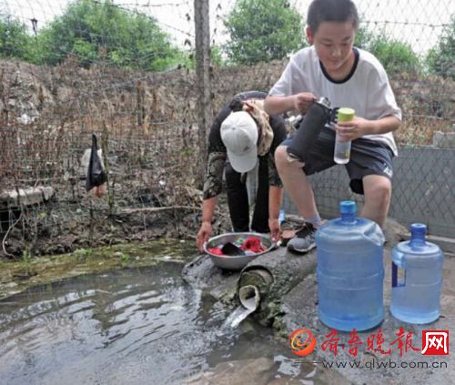 停喷一个多月的济南白泉又出水啦!将规划建湿