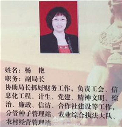 网友@麻毛雄发布的一张照片中，同样出现了“杨艳”的身影。本版图片/网络截图