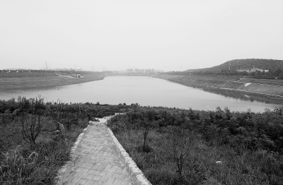 昨天,西郊砂石坑在经过7月20日的大雨后水位明显上升.