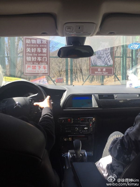 　　图说：事发北京延庆八达岭野生动物园。以上均为网友微博图片