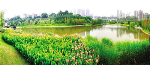 　　重庆彩云湖国家湿地公园