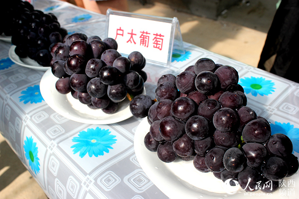 户太八号葡萄
