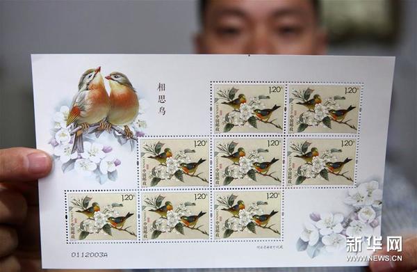 七夕节《相思鸟》特种邮票正式发行（图）
