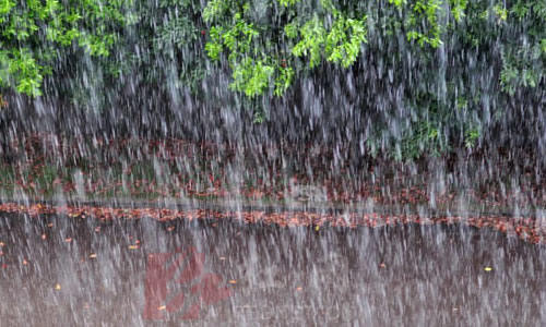 注意!今夜岛城迎大雨,山区局部有暴雨