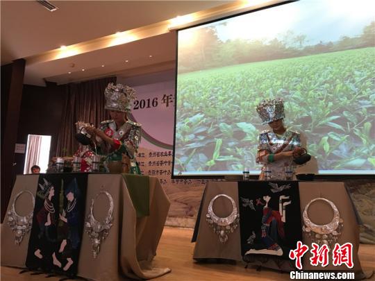 图为2016年贵州省茶艺技能大赛比赛现场 谢敏君 摄