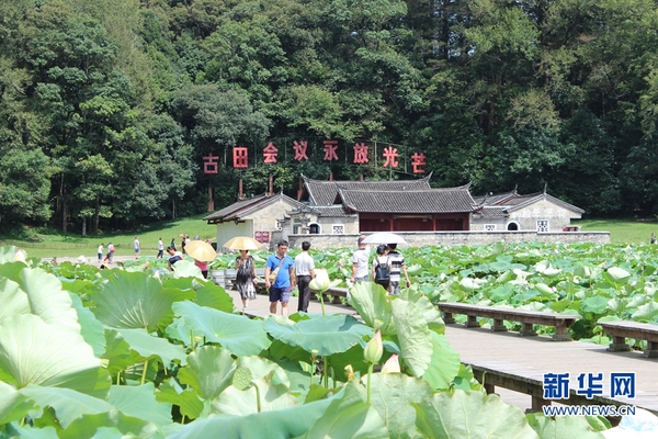 福建上杭古田镇:一年一度秋风劲 不似春光胜似春光