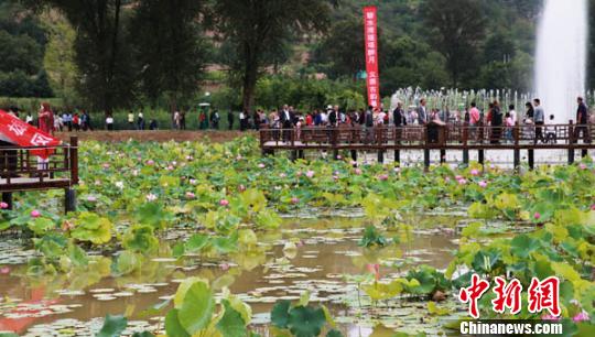 8月26日，甘肃庆阳宁县“印象义渠—莲花池”景区内游人如织。　李卿　摄
