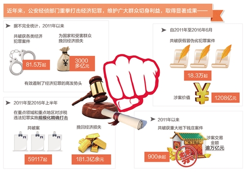 重拳打击犯罪 护航经济发展