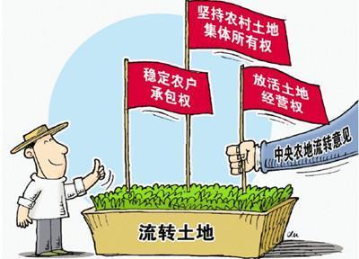 农村改革的关键仍在土地制度
