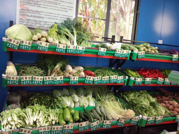 今天,东湖里社区平价店供应58种蔬菜,16种水果;汽车东站社区平价店