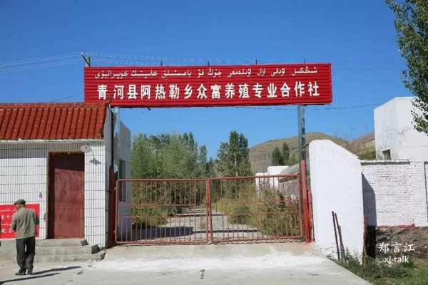 　　青河县阿勒热乡众富养殖专业合作社，目前，该合作社已吸引30多户牧民参与。