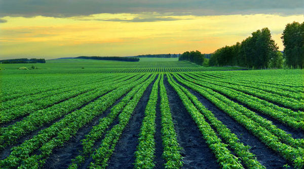 2016年黑龙江省优质农产品展销会将在沪举行