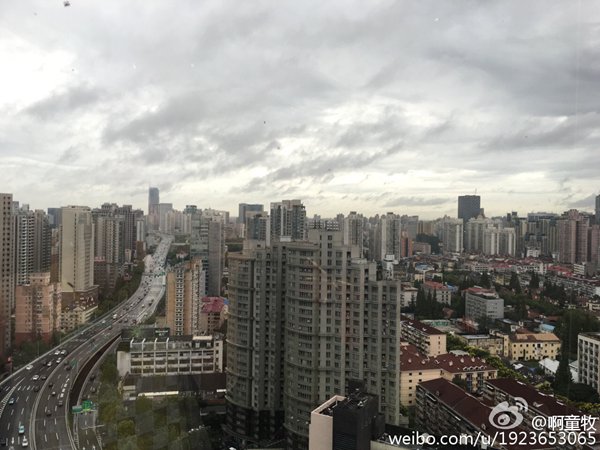 上海普降暴雨局地特大暴雨 今有8级阵风