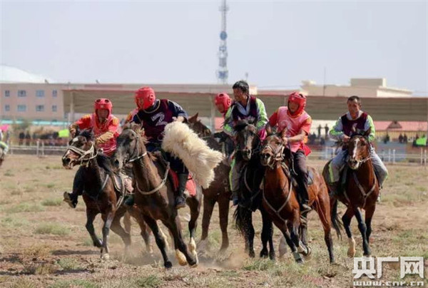 　　赛马、走马、叼羊，让人们领略少数民族传统体育项目的速度与精彩。（胡少武 摄）