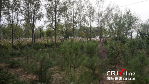 义渠古国遗址所在地庙咀坪