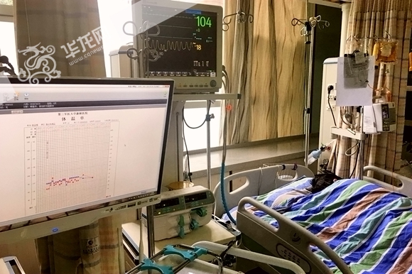 今日，关婷（化名）仍在病床上接受观察。 新桥医院供图 华龙网发(1)