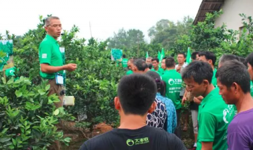 大丰收脐橙观摩在赣举办,农资电商引领未来植
