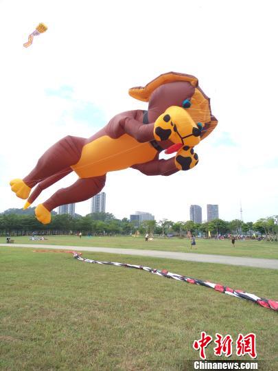 阳江举办国际风筝赛 世界最大风筝“中国结”亮相