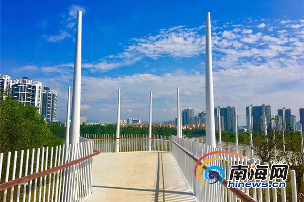　　新建的栈桥绵延135米，成为三亚市春光路红树林生态公园一大看点。南海网记者叶俊一实习生孙梦聪摄