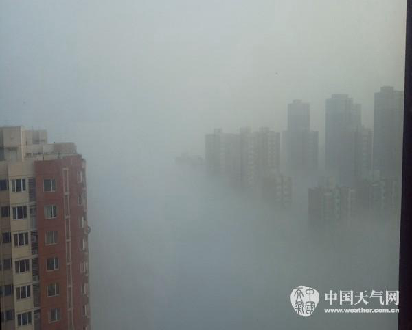 17日清晨，天津西青区雾气弥漫。（陈玺摄）