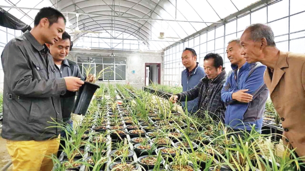 贵阳观山湖区金华镇GDp_贵阳观山湖区公园地图(2)