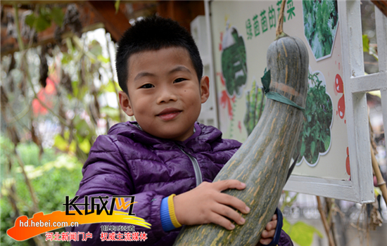 邯郸市广安小学: 学生体验农耕文化 收获劳动喜