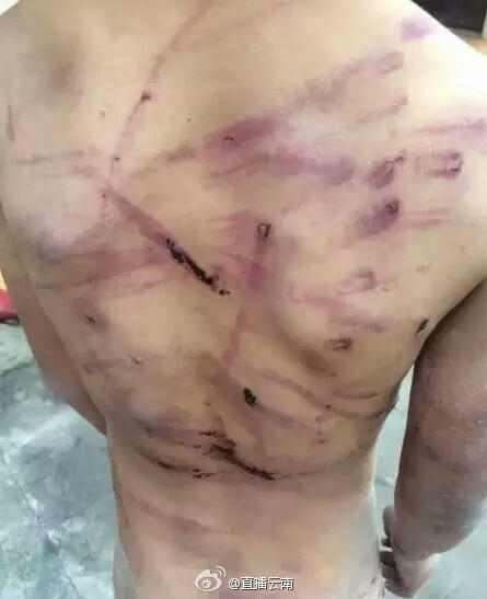 微博网友发布的图片。