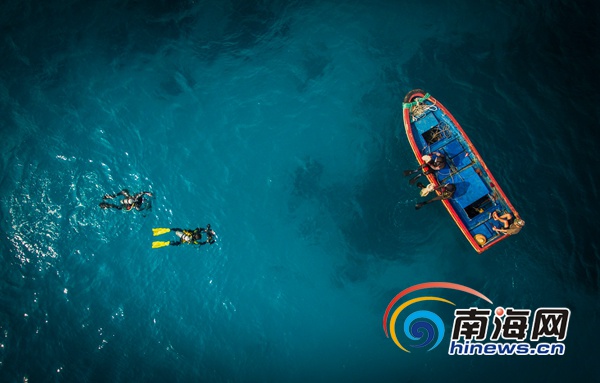 2016年9月20日,三沙市七連嶼海域,水下攝影師楠忘和他的潛伴潛入水下拍攝三沙美妙的海底世界。海報集團全媒體中心記者宋國強