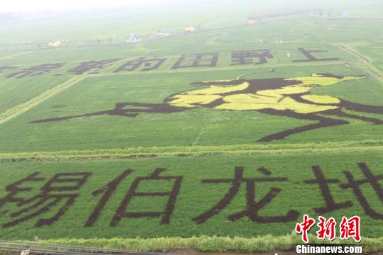 人口较少的山地民族_人口较少的山地民族仫佬族(2)