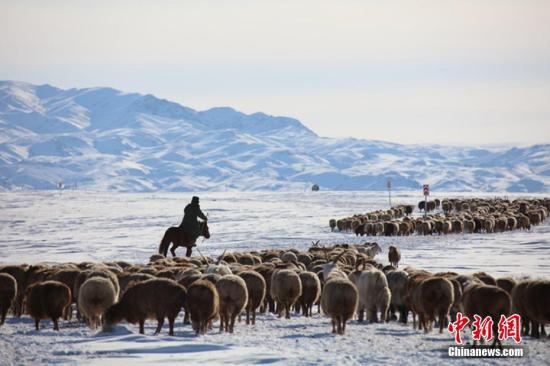 新疆部分地区雪灾已致2700余人受灾 1人死亡