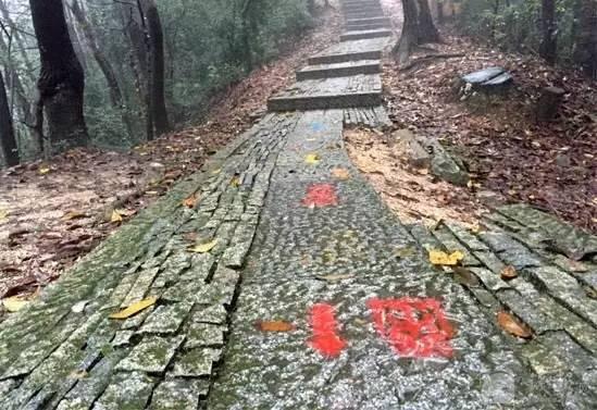 游步道上留下的多处红漆喷制的赛事logo和路标箭头。 几天前在杭州西湖景区群山间举行的一项越野赛,在游步道上留下200多处红漆喷制的赛事logo和路标箭头。11月23日,承办方之一的杭州某文化策划公司负责人告诉澎湃新闻(www.thepaper.cn),当天将把所有标识清除干净。