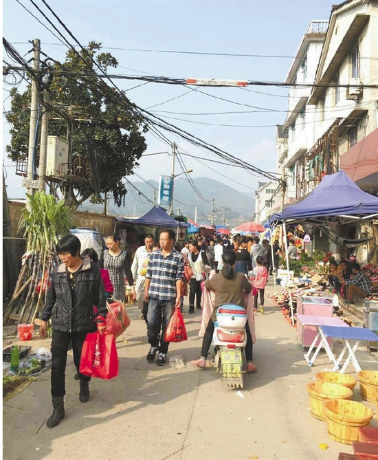 乡镇里的别样风景:闹忙的农产品交流会