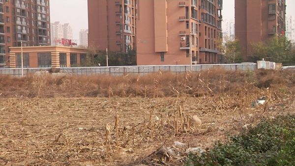 图为南街村一处待征基本农田。