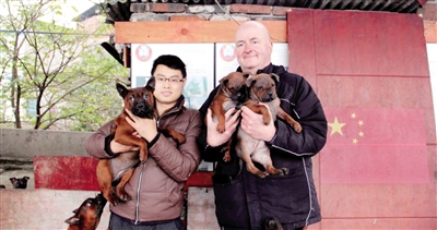 　　王鹏和Tim抱着重庆犬合影。 记者 胡杰 摄
