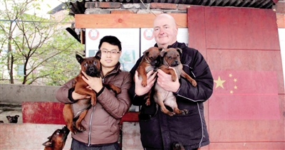 　　王鹏和Tim抱着重庆犬合影。 重庆晨报记者胡杰摄