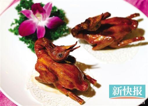 ■陈皮妙龄鸽。