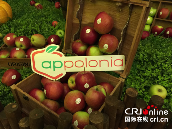 波兰苹果在华首批上市新闻发布会在重庆举行