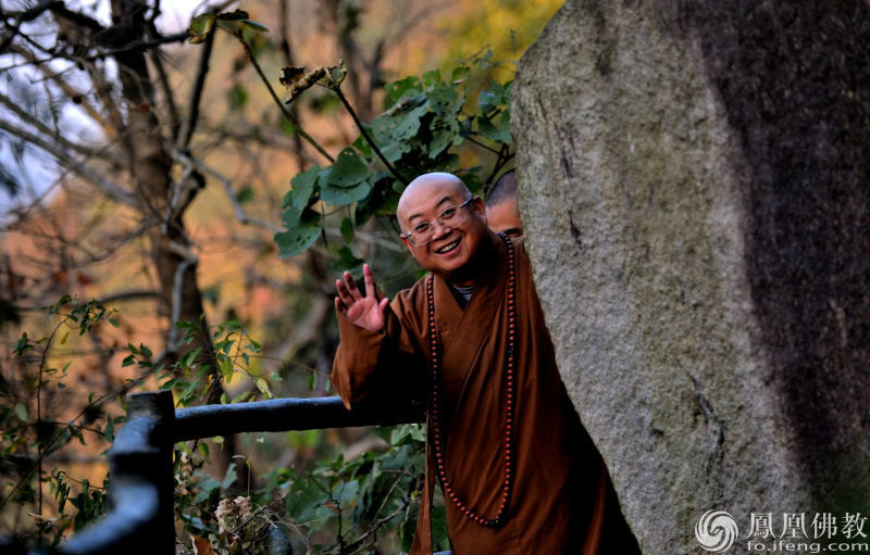 出家人口欲_李娜出家图片