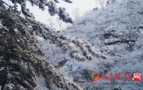 济南实拍：大雪降南山美爆眼球 大片来了！  齐鲁晚报 记者 周青先 摄